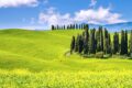 22 - LIBRI DA COLLEZIONE - Libreria Aiace Roma